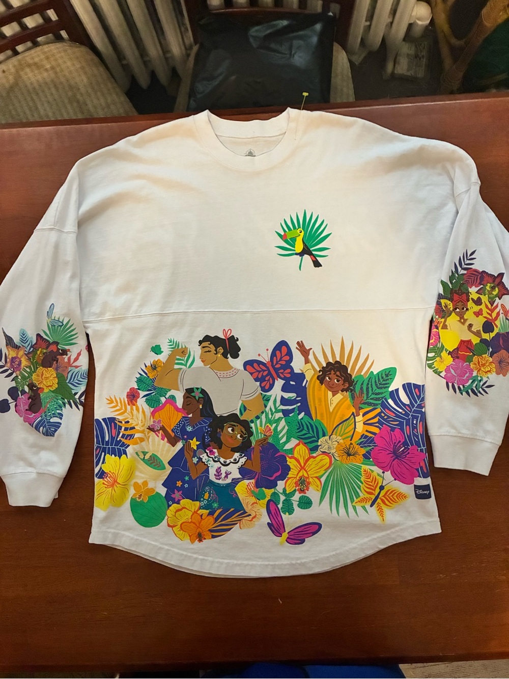 Disney Encanto Time to Shine Floral Spirit Jersey Size Medium